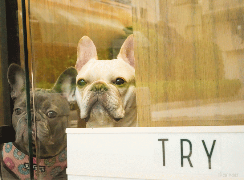 那個遙遠的地方